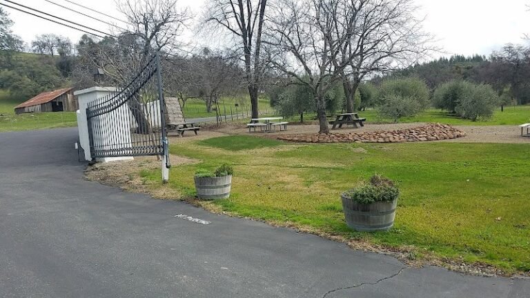 46123 be46f1765e8d 768x432