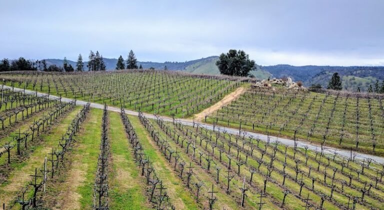 46135 49f8b2b684ba 768x419