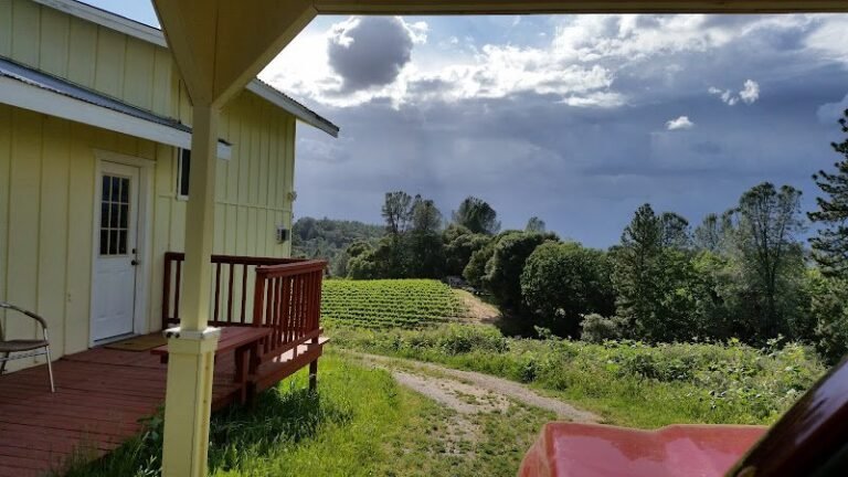 46177 b6e3611ca3f4 768x432