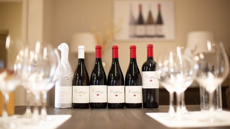 46202 65612ccfa77f 768x432