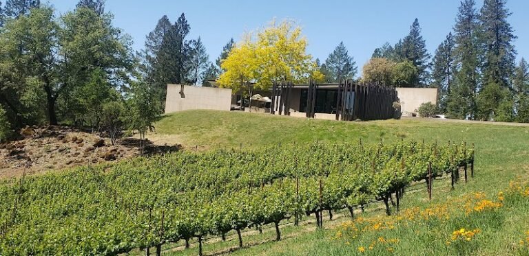 46204 45f4c565108e 768x373