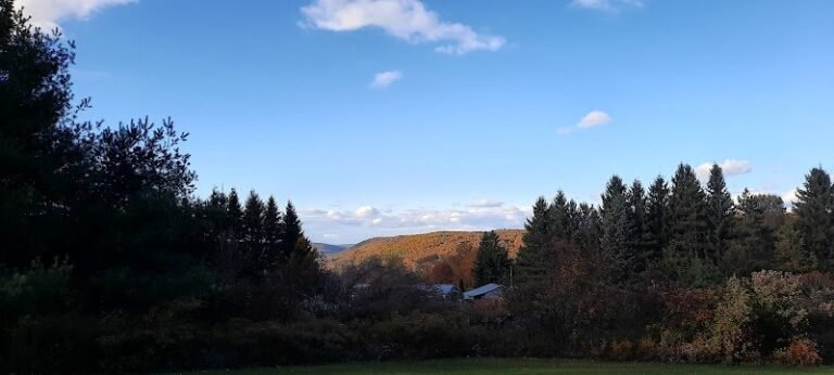 46230 c015f541c682 768x346