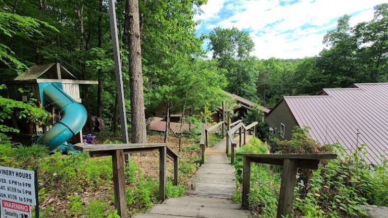 46243 91d89983b534 768x432