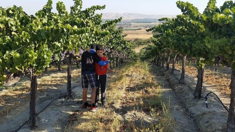 46391 d2d4d5529961 768x432