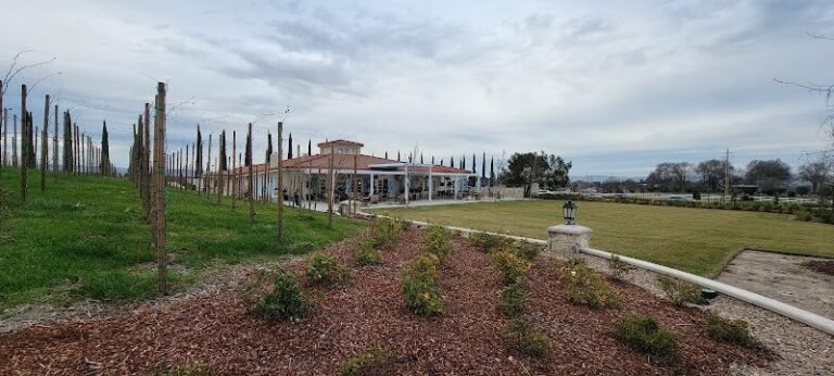 46434 2373c888fbf9 768x346