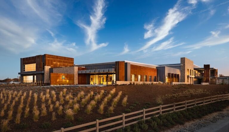 46467 afe6f2d3e82b 768x442