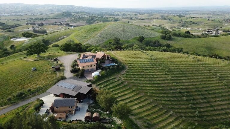 46526 db5fc9d08727 768x432