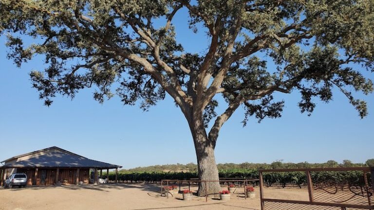 46577 abda1a6d4d34 768x432