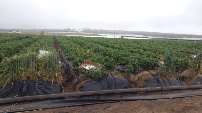 46651 37f5c547136a 768x432