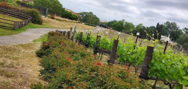 46671 c0e6016ee2ea 768x363