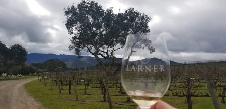 46683 3658fd52e3c5 768x373