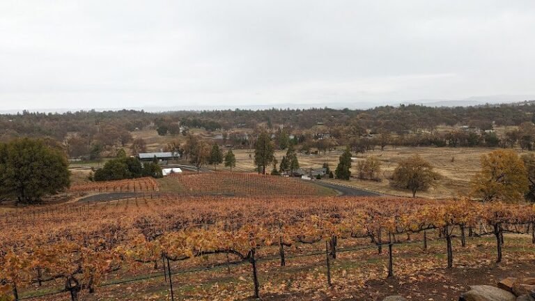 46747 c51fb5f022c4 768x432