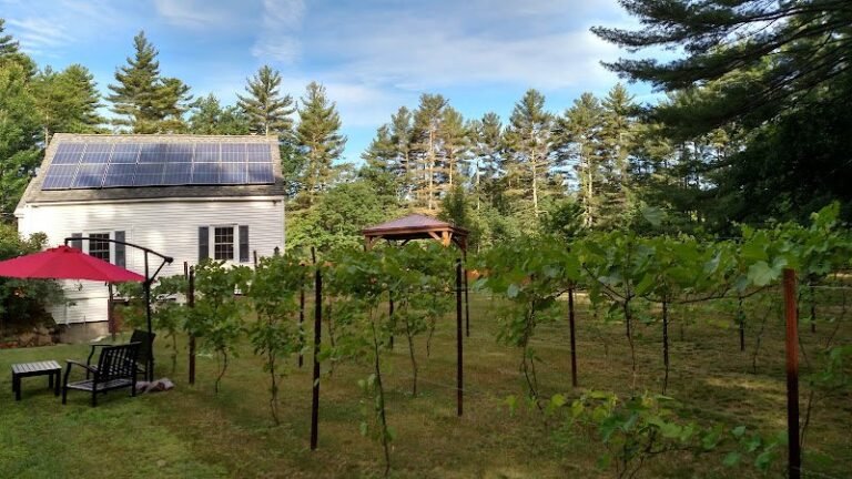 46753 6ca0fdf684d1 768x432