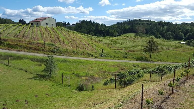 46823 cf6c65d48694 768x432