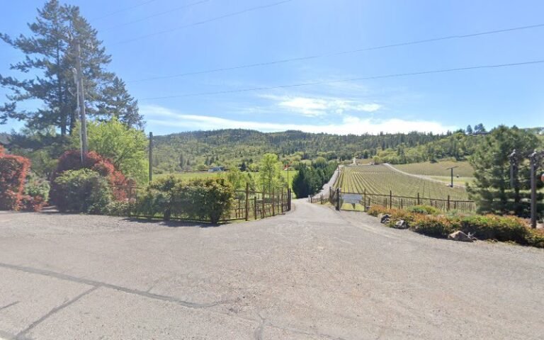 46842 2cbc9e79d9c2 768x480