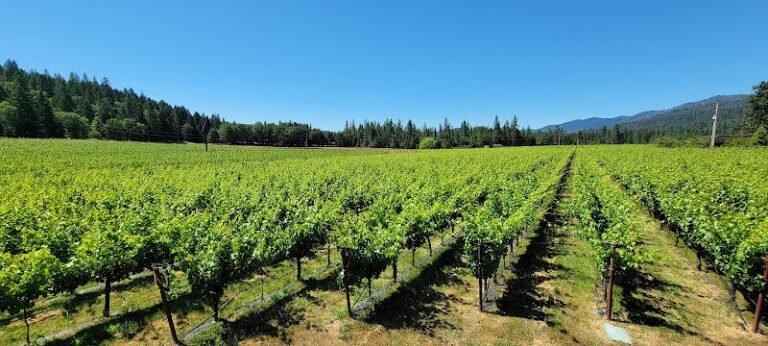 46846 e81c53110224 768x346