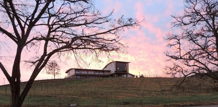 46856 b22d1b2b62c3 768x378