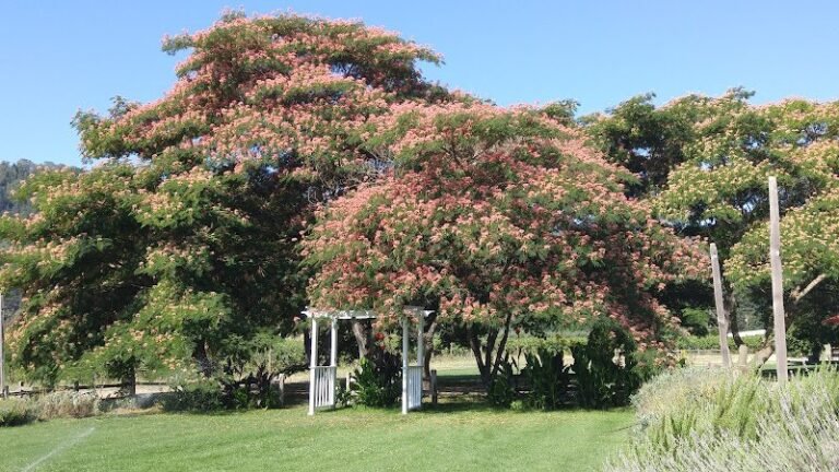 46870 62cc404b8b70 768x432