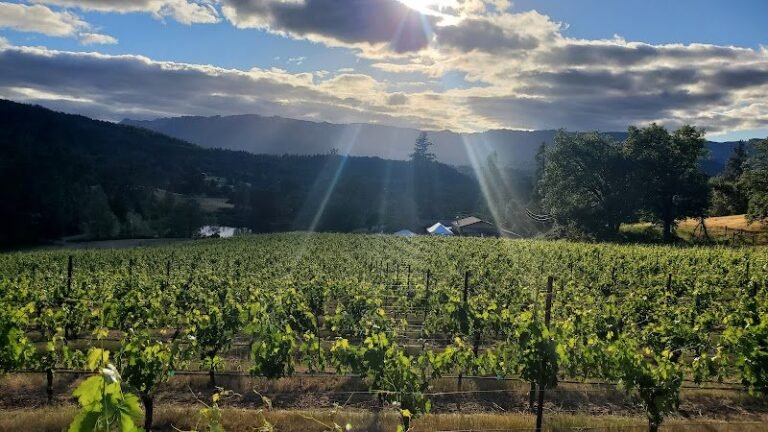 46872 95b456ba1633 768x432