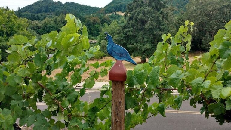 46892 f86aafd56dc7 768x432