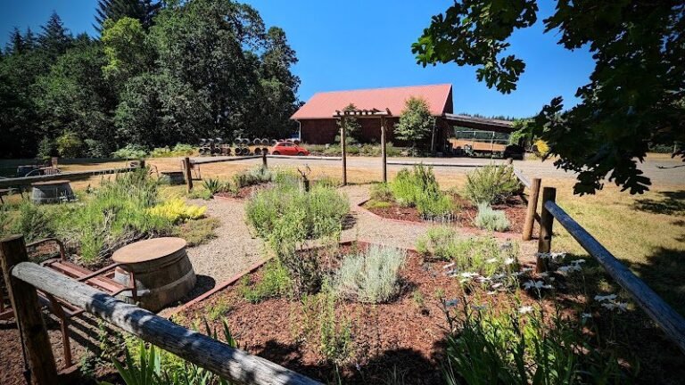 46900 b978cf96a304 768x432