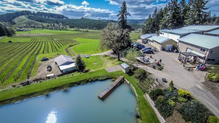 46910 9ac216b2f2b0 768x432