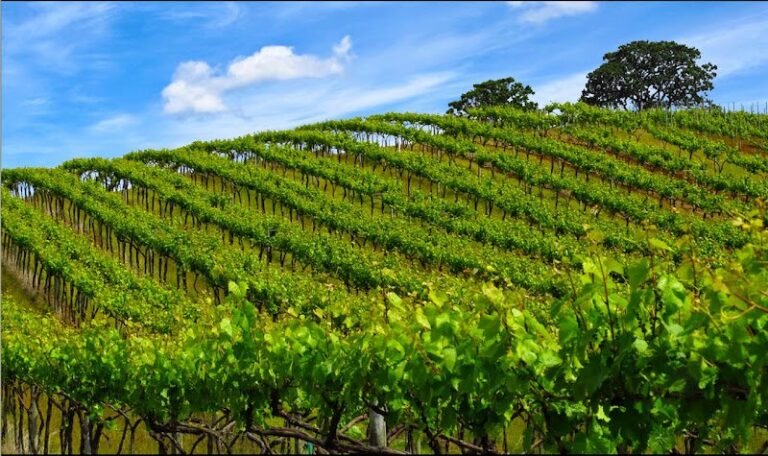 46934 de0407d4f260 768x456