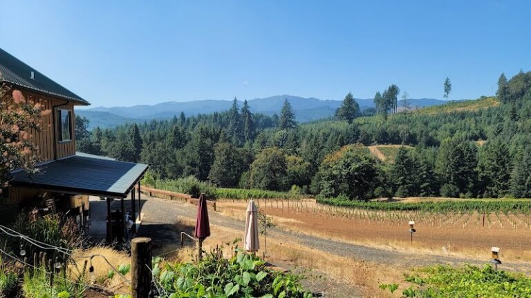 46950 a35ba2a00d03 768x432