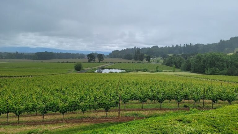 47007 3f8aad140aa9 768x432