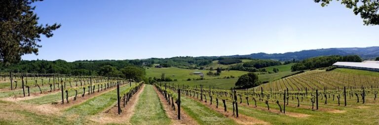 47058 b6d5186ab34d 768x254