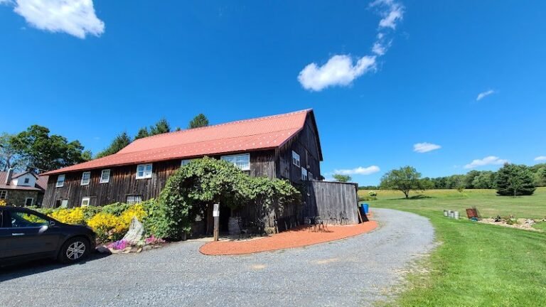 47100 4178e4dd2b9e 768x432