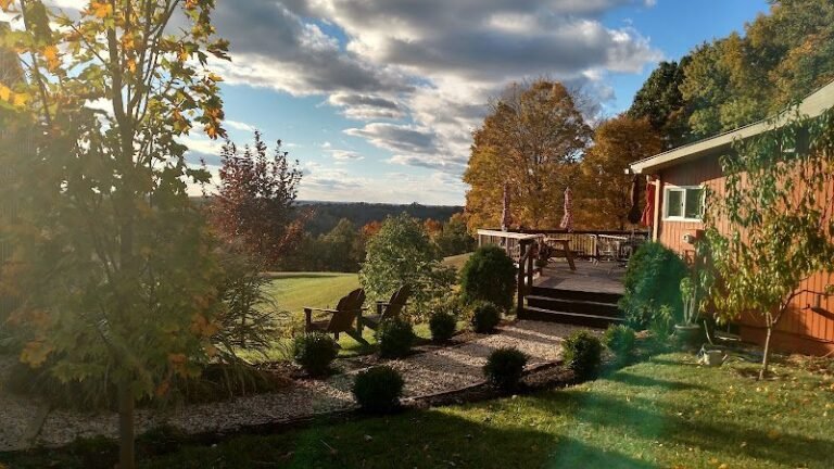 47137 9796608de95c 768x432