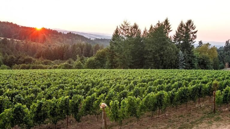 47141 6984b6cfe0a7 768x432