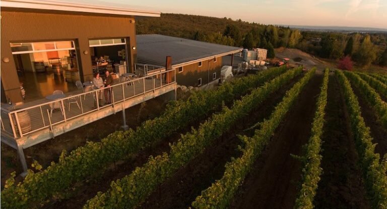 47149 2ac67be15bfc 768x414