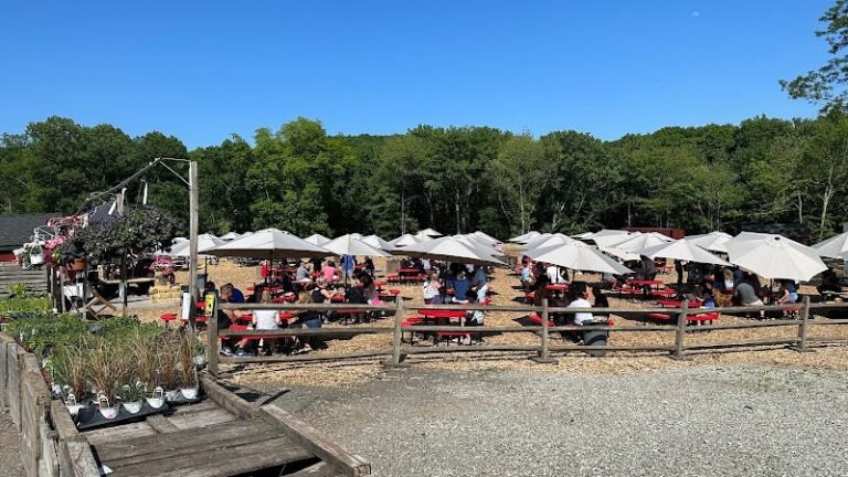 47168 4e92645f90ac 768x432