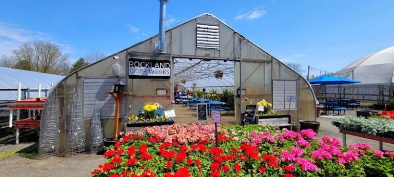 47242 31d0a0de8210 768x346