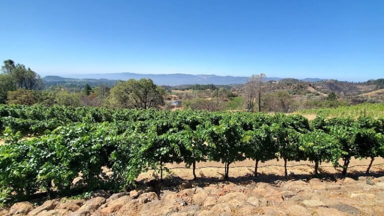 47295 77fafe24e3fb 768x432