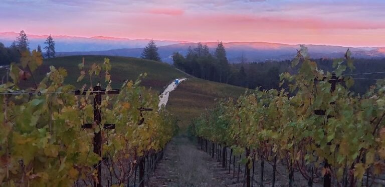 47312 30d5b0b637b0 768x373