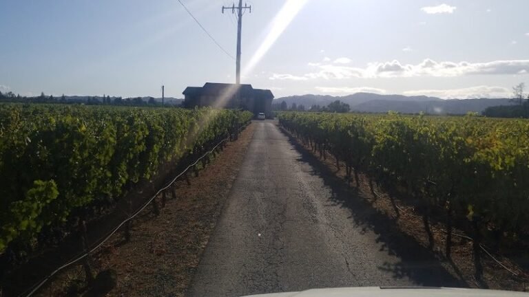 47344 3c82871caeca 768x432