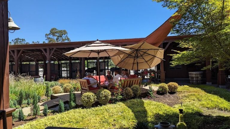 47369 5fc266f9c2ca 768x432