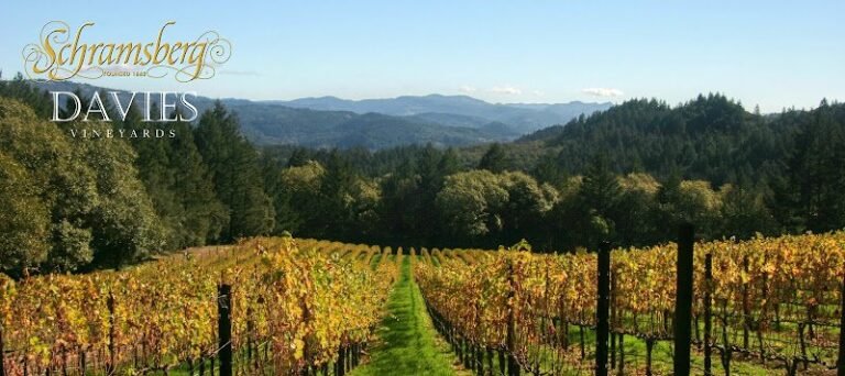 47403 f78ea5228b01 768x342