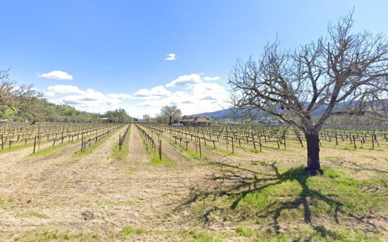 47427 c8e63fab6ec4 768x480