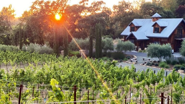 47437 fa81ca25e911 768x432