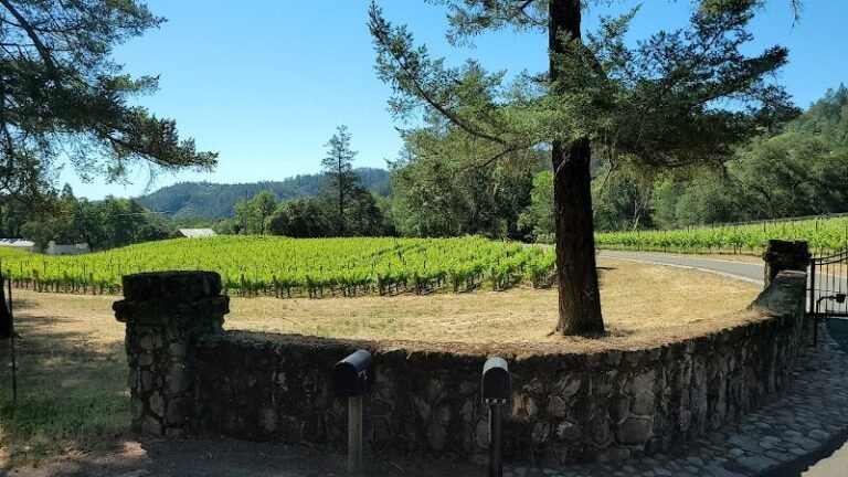 47441 2f1898a932aa 768x432