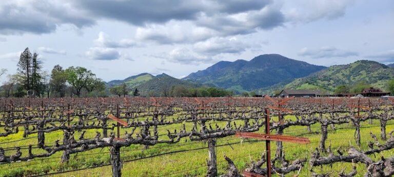 47455 09ea29a3c0de 768x346