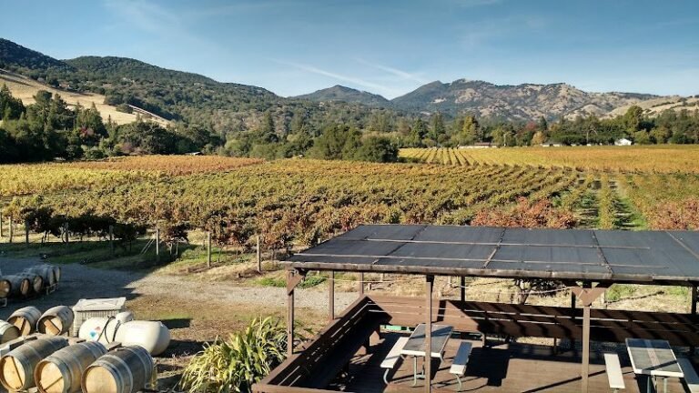 47495 7173b4f0a827 768x432