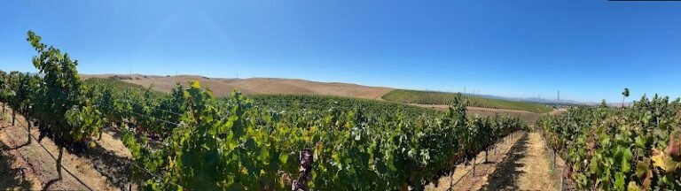 47529 71b767d6f5c3 768x216