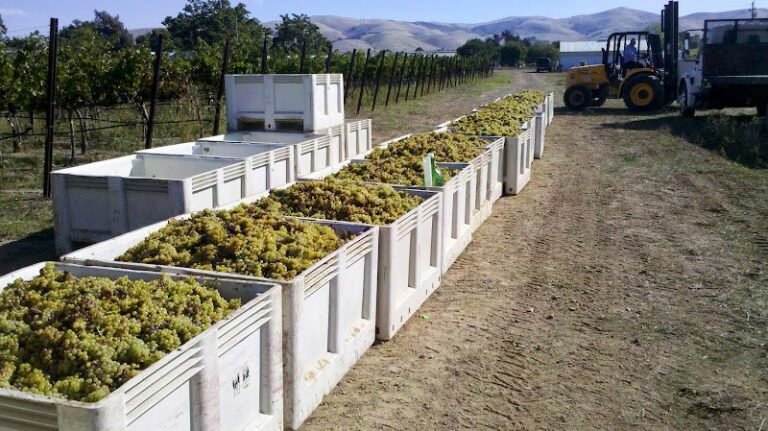 47552 cc120595bfd2 768x431