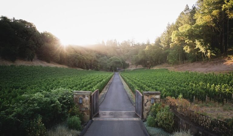 47616 42aa8b9aa585 768x447