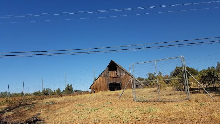 47691 3c20286d9cd5 768x432